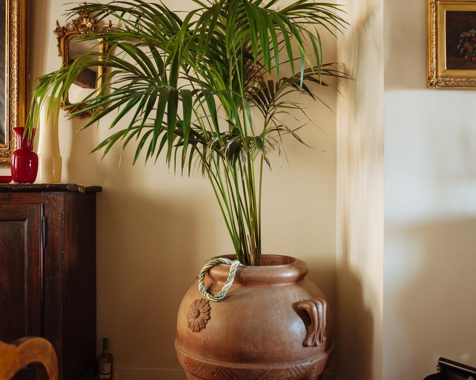 Bed & Breakfast Al Re Cesena